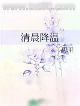 《清晨降温》小说封面