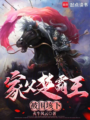 《家父楚霸王,被围垓下》小说封面