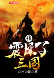 《我,震惊了三国!》小说封面