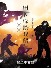 《亮剑：团长你给我留点》小说封面