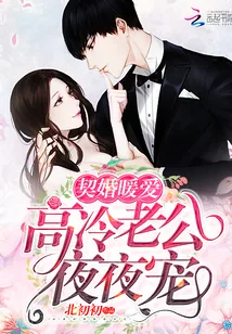 《契婚暖爱：高冷老公，夜夜宠！》小说封面