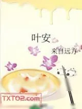 《叶安》小说封面