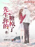 《先生你的糖掉了》小说封面