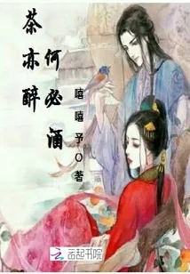 《茶亦醉何必酒》小说封面